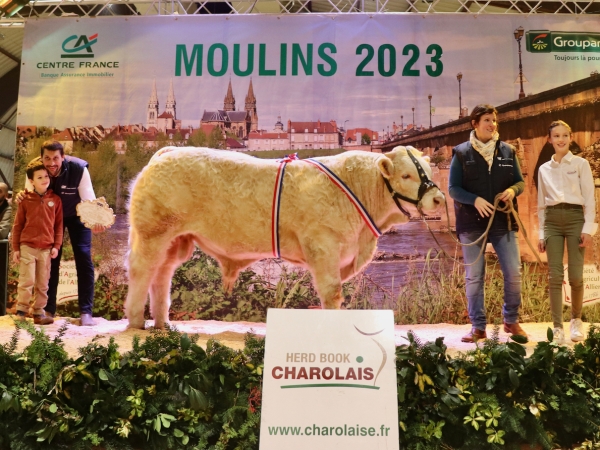 La Saône-et-Loire rafle 4 supers à la finale des concours charolais à Moulins  !