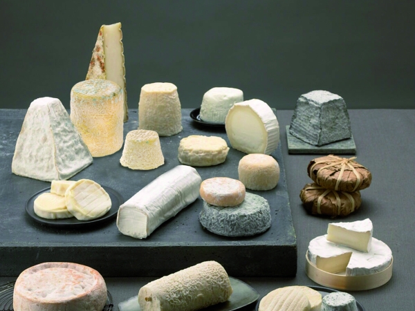 EXCLU WEB / Comment les fromages de terroir s’appuient sur la science