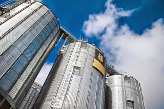 La Russie poursuit sa reconquête de son marché intérieur en viande porcine, avant sans doute d'exporter...