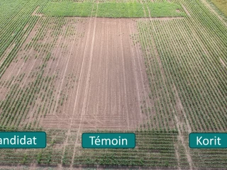 Les fléaux des agriculteurs