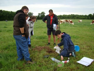 Autonomie alimentaire, fourrages de qualité et optimisation de la productivité sont les clés pour améliorer le système fourrager des exploitations laitières