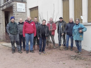 Arbres et vignes se marient grâce aux Vignerons de Buxy et aux élèves du lycée horticole de Tournus
