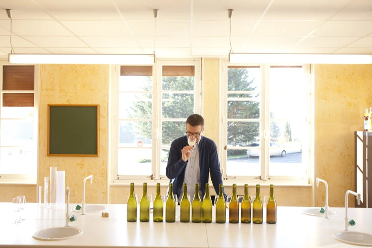 Première vinification sans sulfite en blanc à la Cave de Lugny