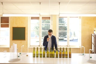 Première vinification sans sulfite en blanc à la Cave de Lugny