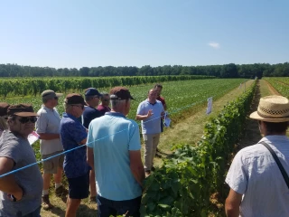 Rencontres techniques viticoles de Bourgogne du Sud Des sols aux biocontrôles
