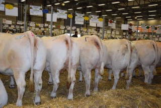 La Société d’agriculture d’Autun se concentre sur la promotion