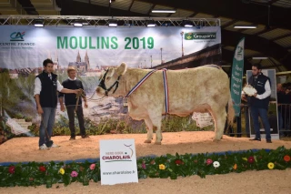 Une super finale très saône-et-loirienne au concours de Moulins !