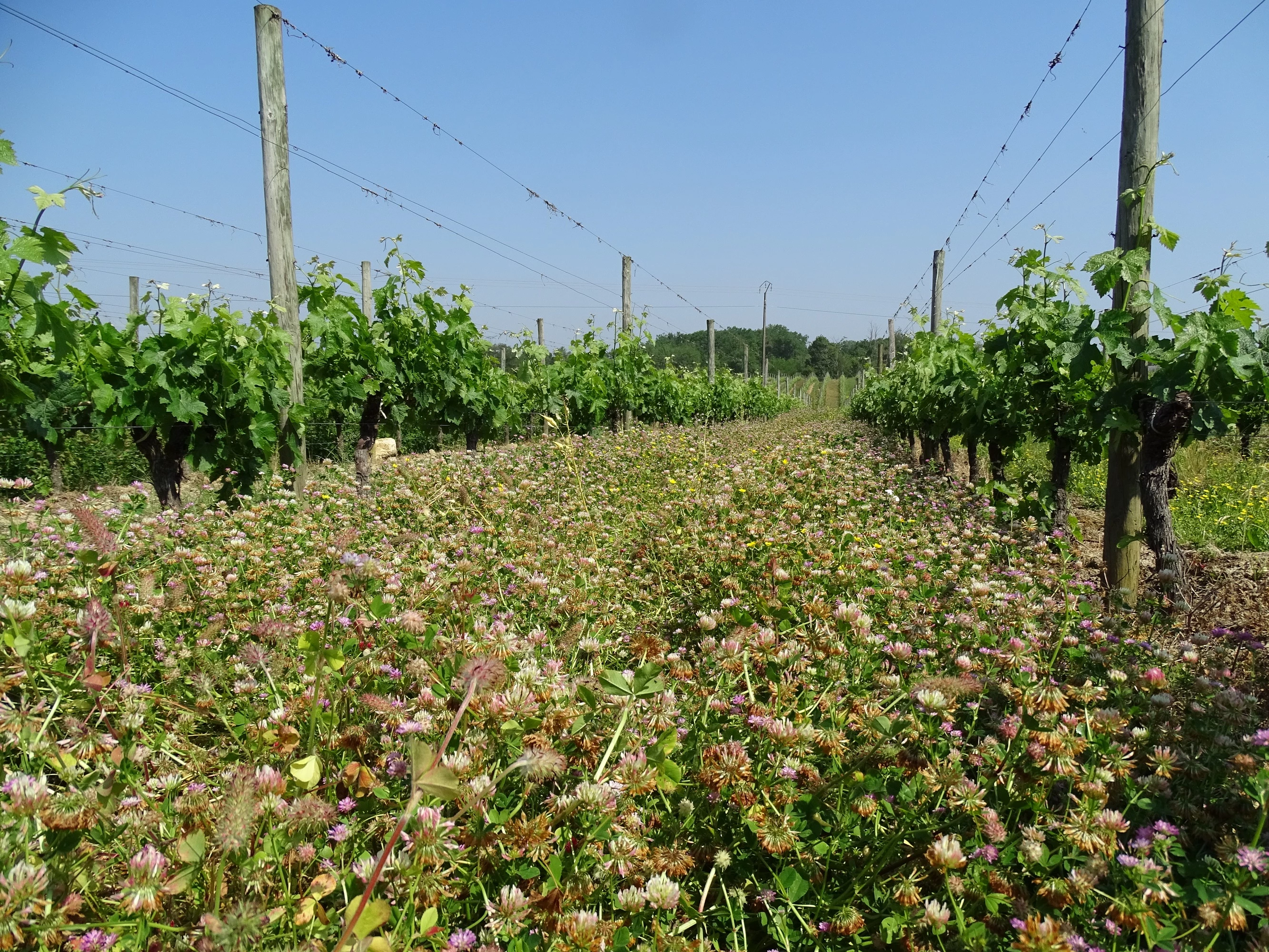 Journée biocontrôle à la CAMB