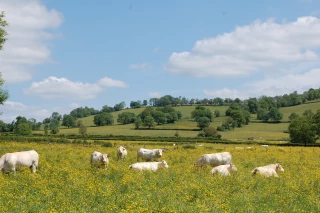 On ne le dira jamais assez : l’Agriculture est une chance pour la France, mais à condition que les agriculteurs en tirent un revenu et cessent d’être dénigrés