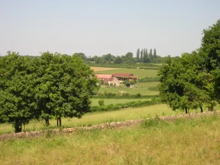 Bruxelles propose de réduire le budget de la Pac de 5 % pour la période 2021-2027...