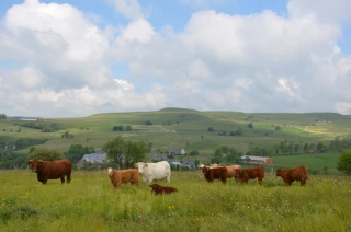 Le comité de massif du Massif central a renouvelé ses membres