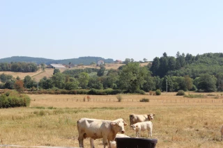 Sécheresse et canicule : une situation préoccupante en Saône-et-Loire