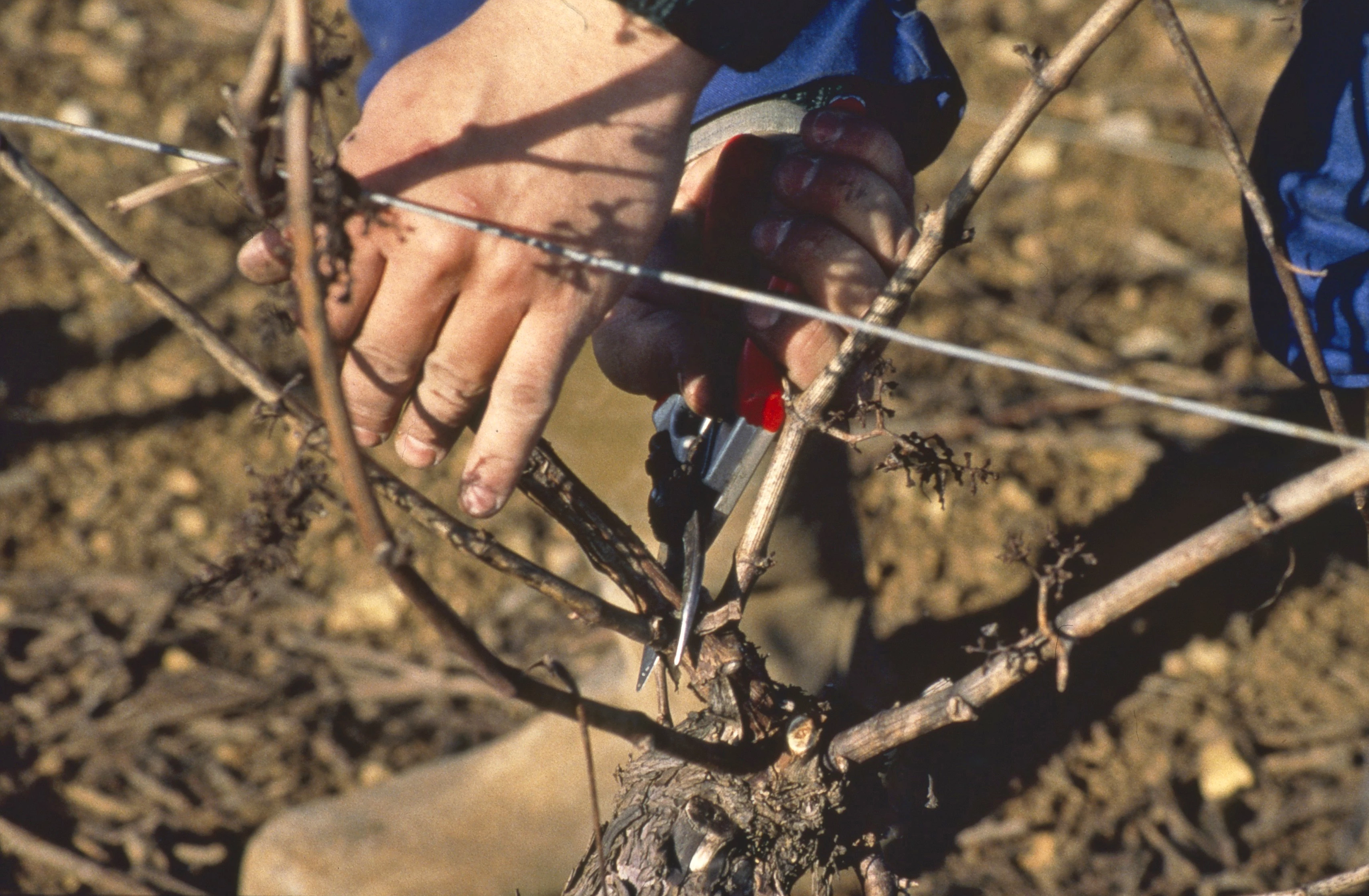 En matière d’emploi, le 1er janvier 2018 est loin d’être anodin…