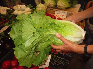 Agriculture urbaine et circuits courts ne feront pas le poids pour nourir les villes