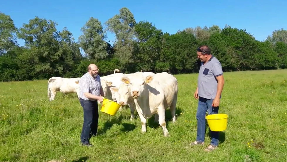 Pour la 4e édition des Rencontres "Made in Viande", les bouchers ont fait le choix de s'impliquer