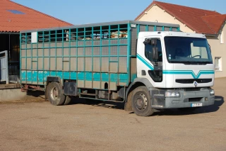 En matière de bien-être animal, les bonnes pratiques en matière de transport des animaux