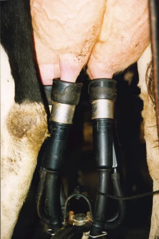 Créer de la valeur pour faire face à l’imprévisibilité du marché