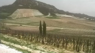 Vin : les investissements de prévention des risques climatiques à l’étude