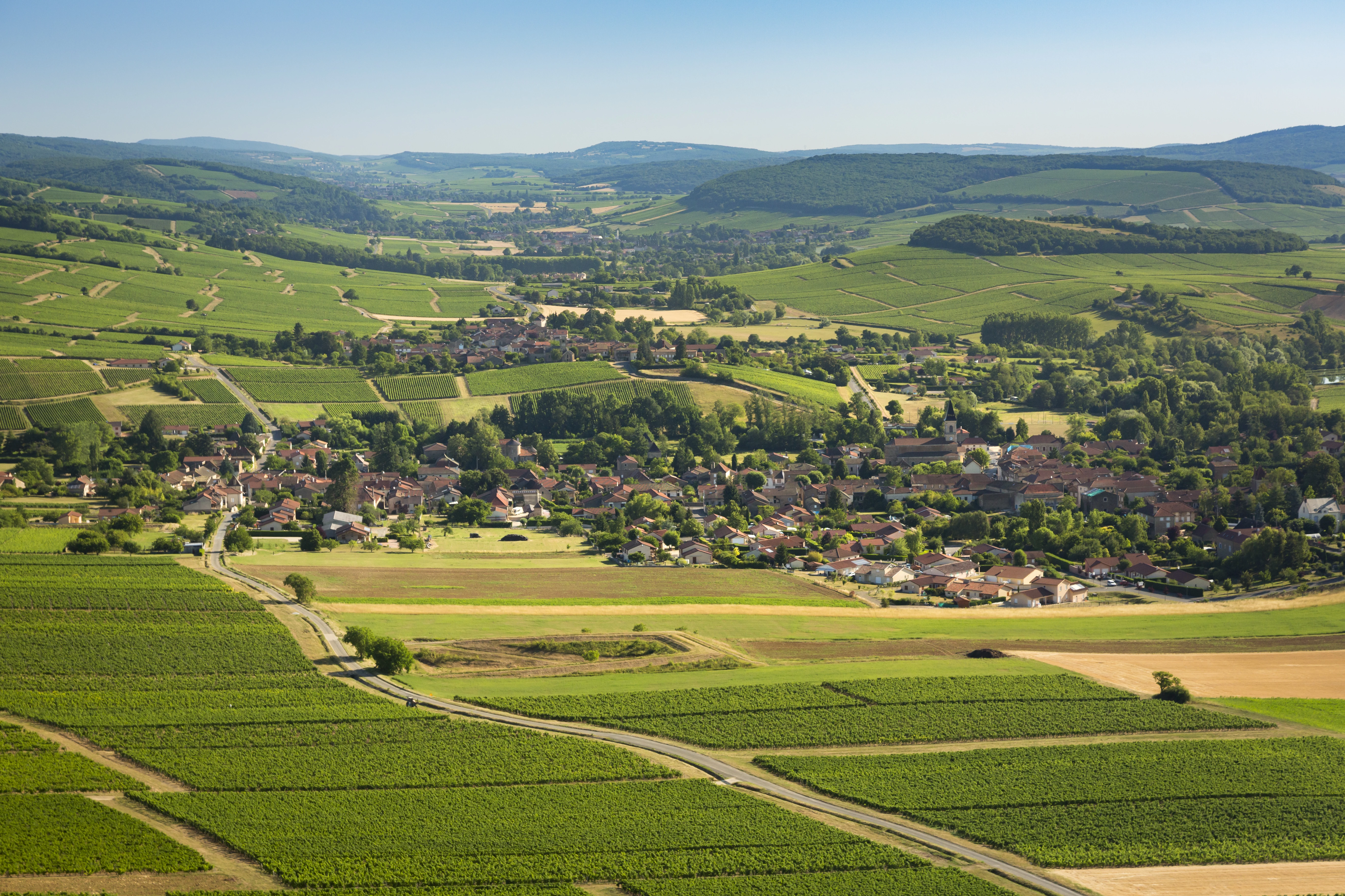 L'Union viticole de Saône-et-Loire demande à l’Etat d'assumer ses règles