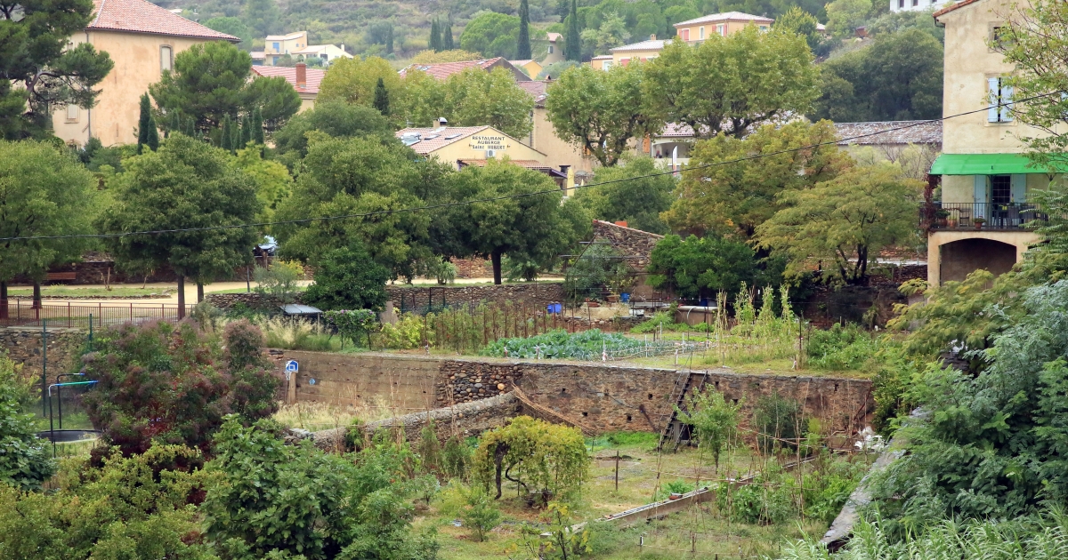 Soutenir Les Projets De Jardins Partag S Et D Agriculture Urbaine