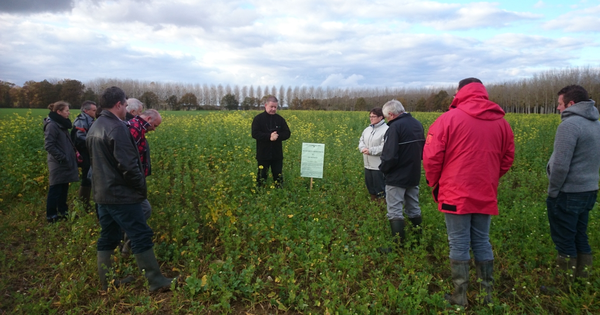 Lagriculture De Conservation En Attente De Reconnaissance Agri 71