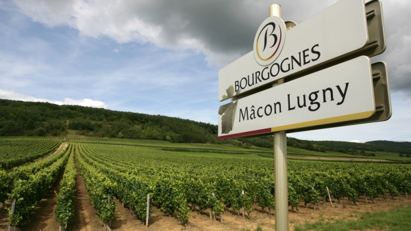 Les panneaux d’appellation bourguignons mis en vente