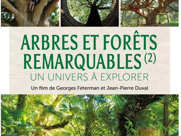 Explorer l'univers des arbres remarquables