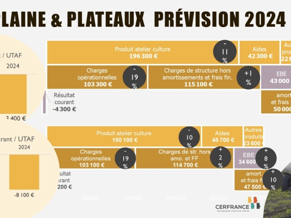 Quand l'instabilité devient la règle