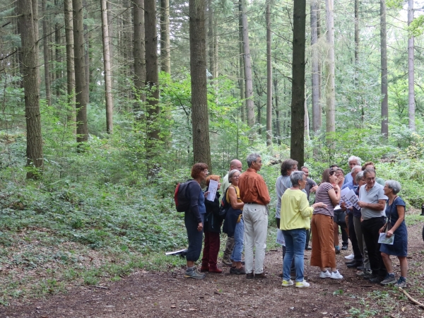 Quand une intercommunalité achète une forêt...