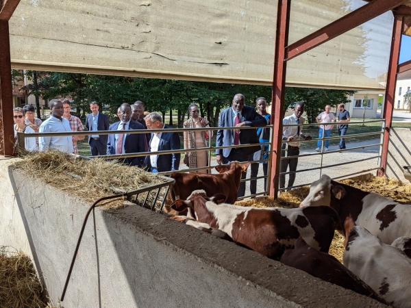 Première en France, six Tchadiens en études longues à Fontaines et en stages dans le Clunisois