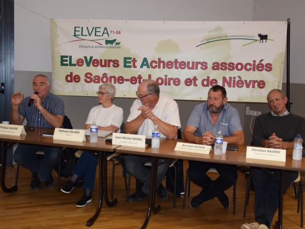 Elvéa 71-58 : faire face à la décapitalisation