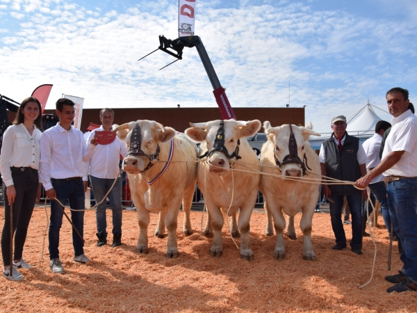 Que du positif pour le concours charolais d'Autun !