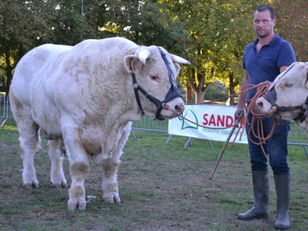 Etang-sur-Arroux : 40e concours de reproducteurs le jeudi 17 octobre