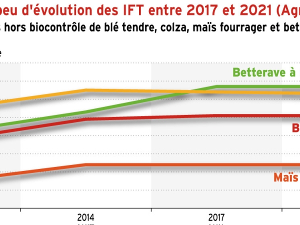 Les IFT grandes cultures stables entre 2017 et 2021