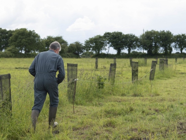 Appel à projets pour la gestion durable et la plantation de haies et d’arbres