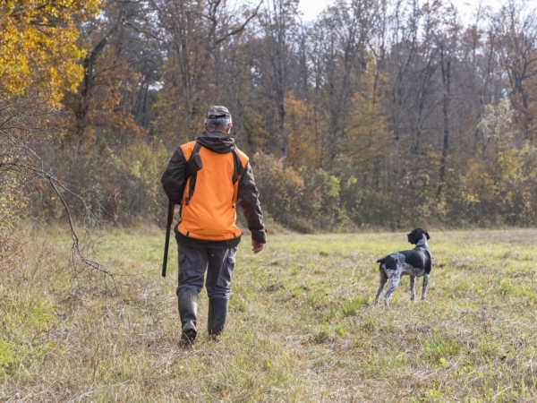 La baisse des accidents mortels de chasse se confirme