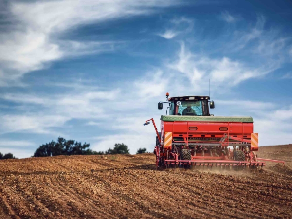 Grandes cultures d’hiver : 6,3 millions d’hectares emblavés, le blé dur au plus bas