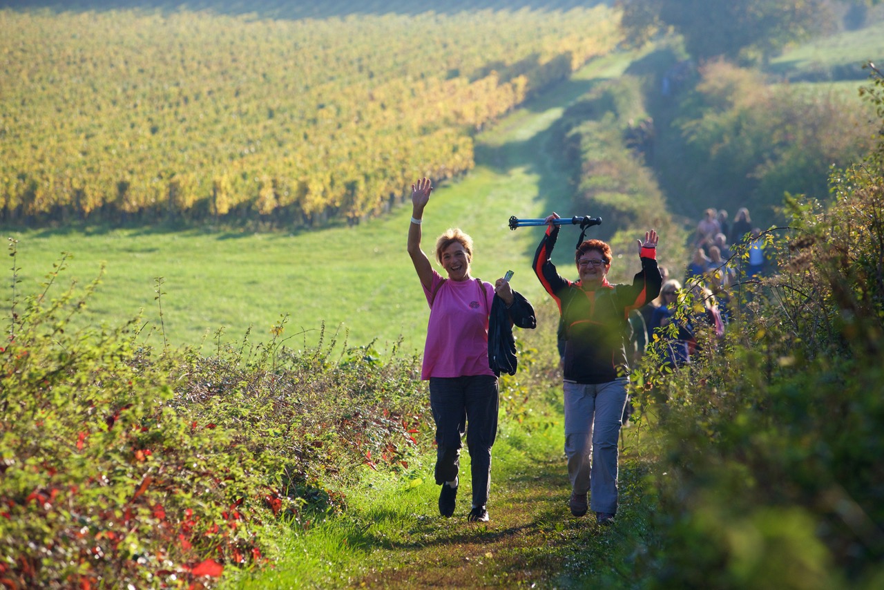 L’appel sportif du Chardonnay le 20 octobre