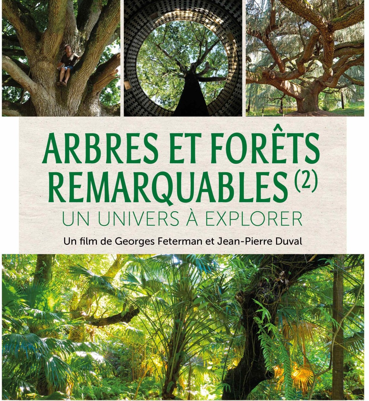 Explorer l'univers des arbres remarquables