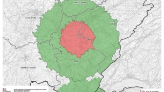 Dermatose Nodulaire Contagieuse : deux nouvelles zones réglementées autour de foyers dans le Jura et l’Ain placent 188 communes de Saône-et-Loire en zone de surveillance. Mouvements gelés et vaccination obligatoire.