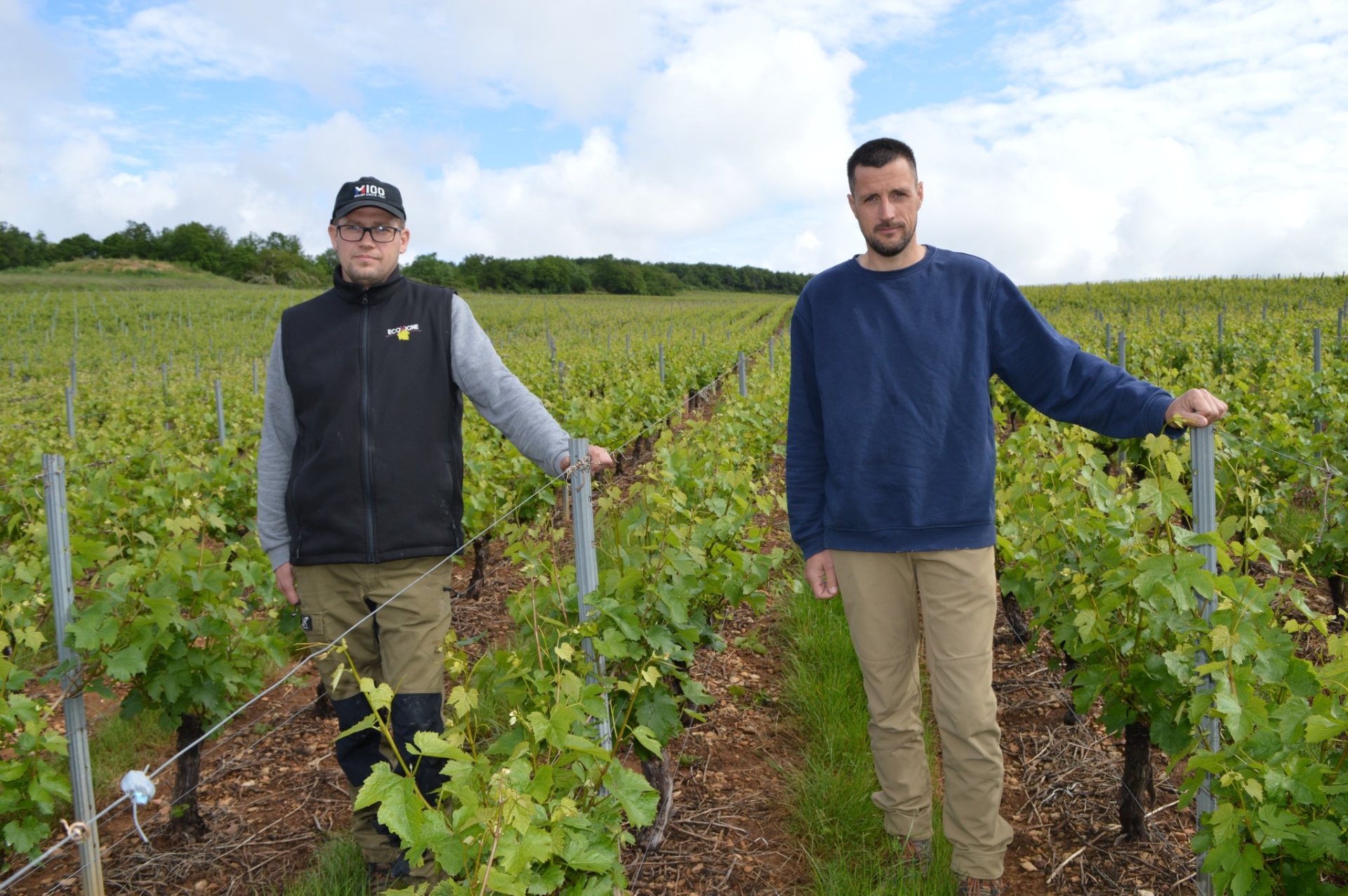 Un domaine à 100 à l’heure