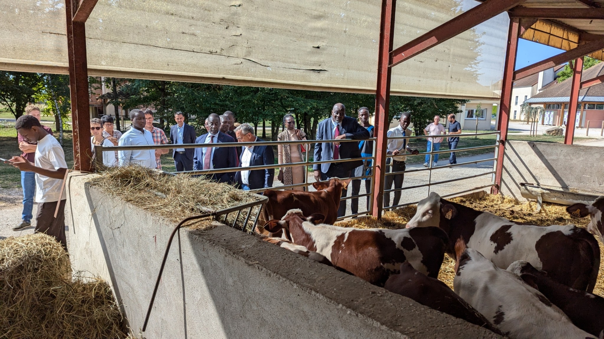 Première en France, six Tchadiens en études longues à Fontaines et en stages dans le Clunisois