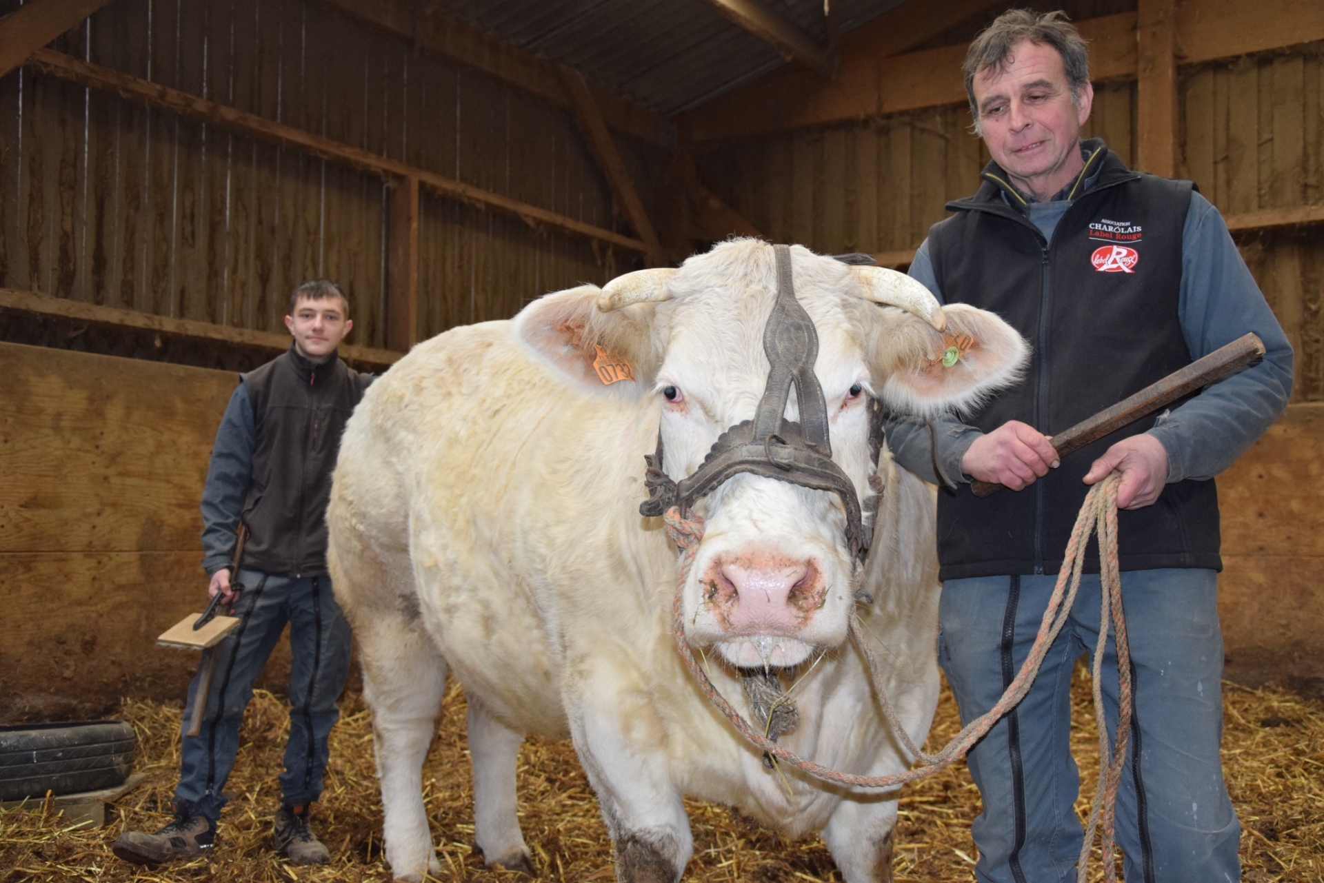 Jean-Charles Ducrot à Changy : « c'est l’animal qui va marquer ma carrière ! »