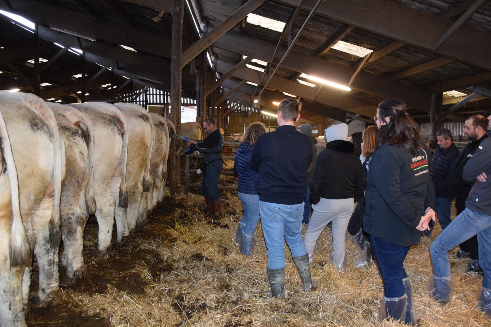 Ferm’Inov présente des outils pour optimiser la reproduction