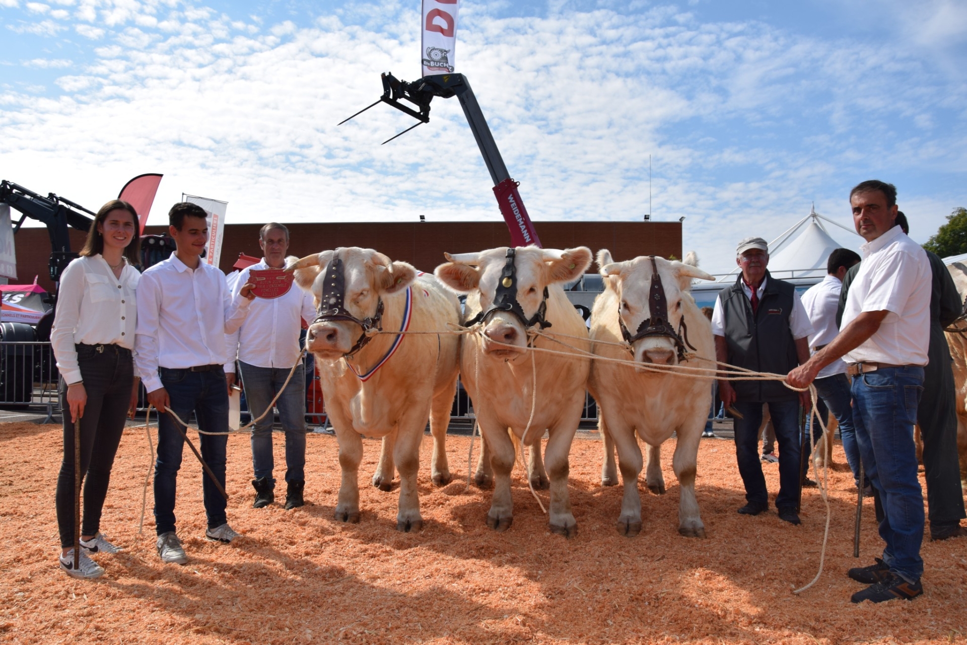 Que du positif pour le concours charolais d'Autun !