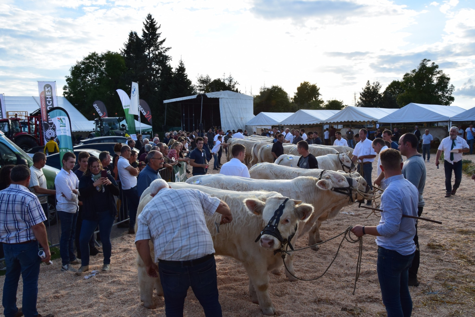 Impatients de se retrouver au concours charolais d’Autun avec la foire économique !