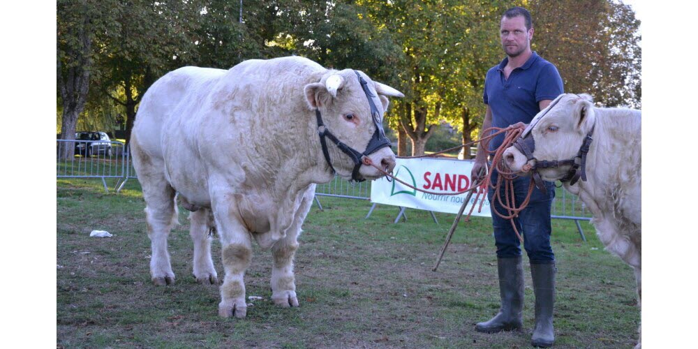 Etang-sur-Arroux : 40e concours de reproducteurs le jeudi 17 octobre