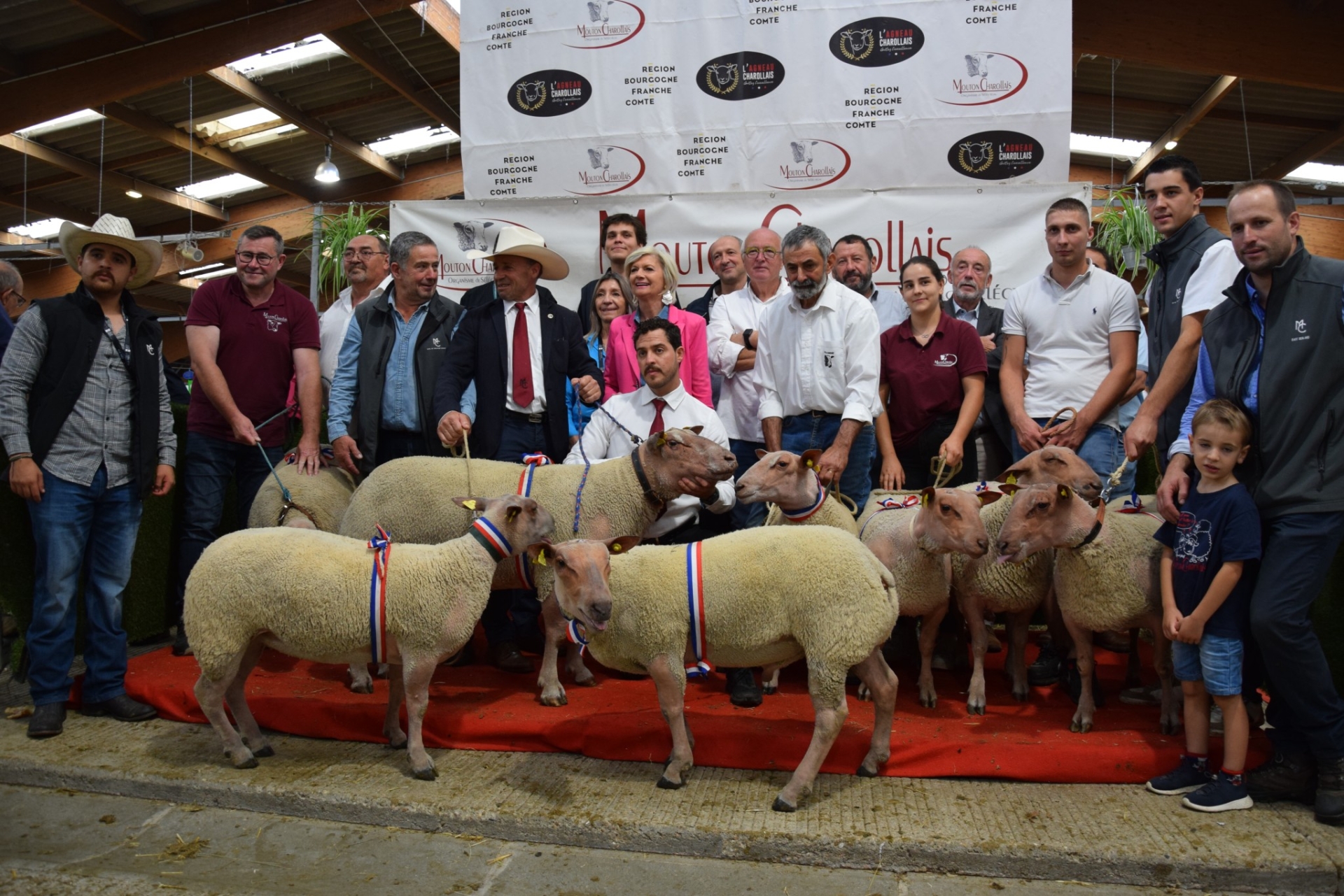 Un concours national de Mouton Charollais plein de nouveautés !