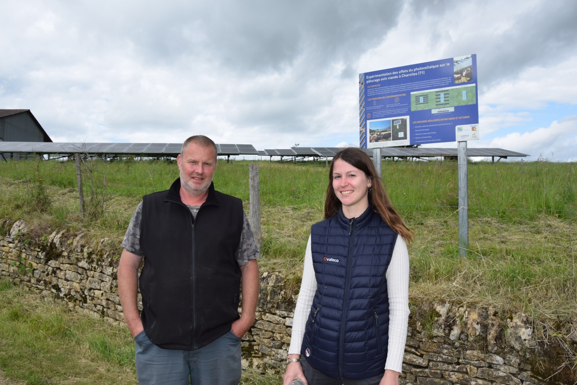 L’agrivoltaïsme à l’essai depuis trois ans au pôle régional ovin de Charolles 