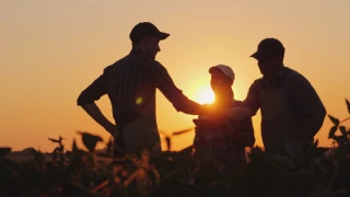 Dernière ligne droite pour le projet de loi d’orientation agricole